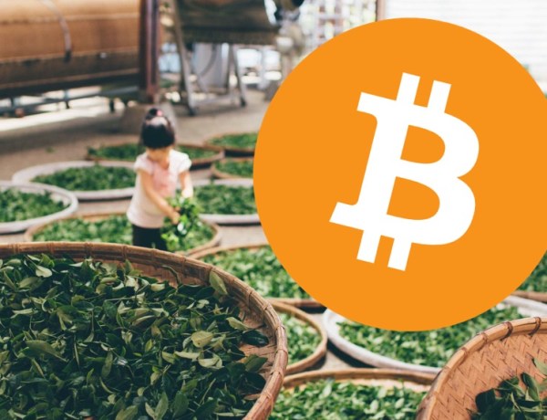 bitcoin tea