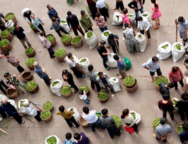 china tea market