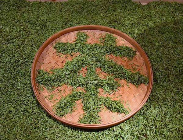 chinese character tea in chinese using leaves