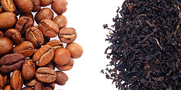 coffee versus tea