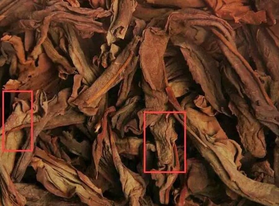 frogs back rock tea yan cha brewed leaves