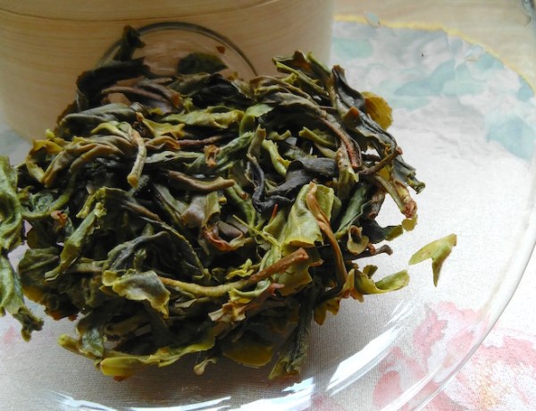 xi gui pu erh wet tea leaves