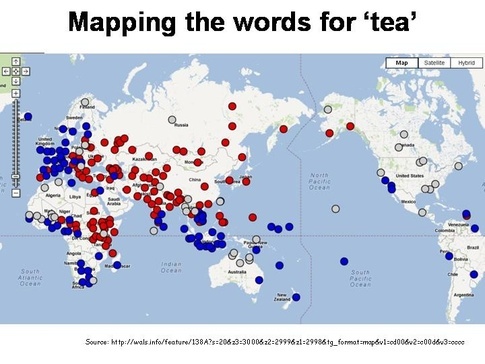 mapping the word tea