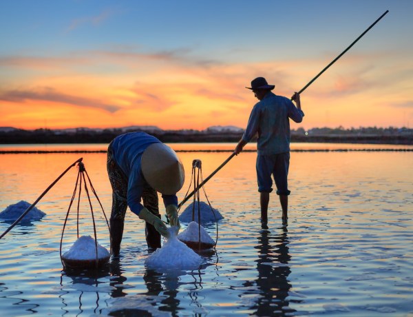 salt in lake tibet