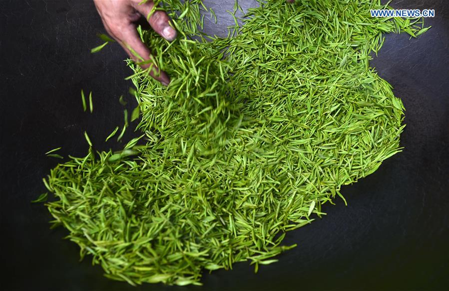 stirring chinese green tea in pan.jpg