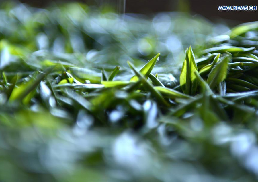 tea leaves close up