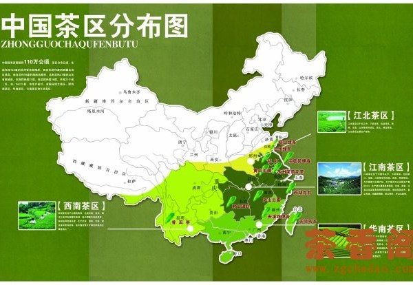 tea producing regions
