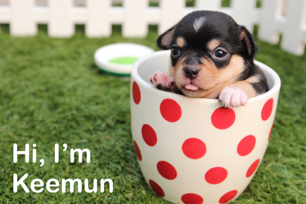 tea related name for dogs