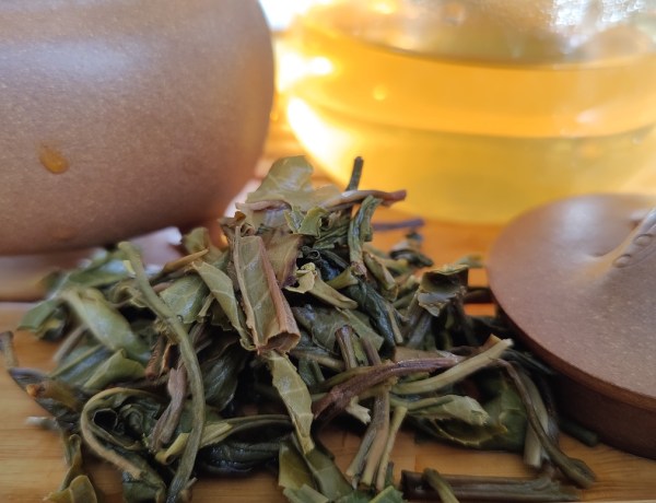 wuliangshan raw pu erh tea review
