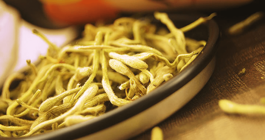 chinese honeysuckle