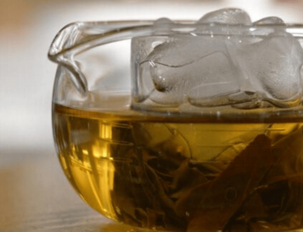 cold brew white tea summer